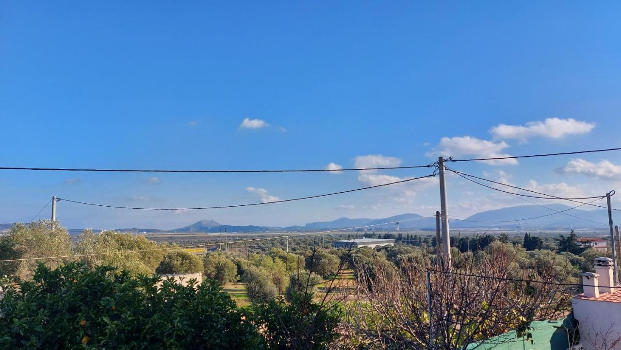 Makarios Apartment Near Athens Aiport สปาตา ภายนอก รูปภาพ