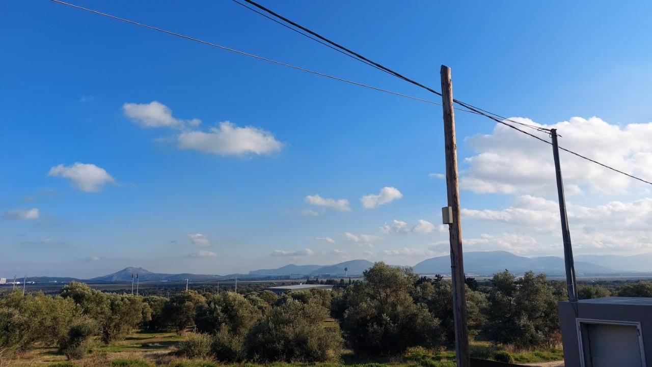 Makarios Apartment Near Athens Aiport สปาตา ภายนอก รูปภาพ